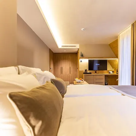 Monti & Wellness 4*