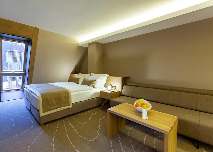 Monti & Wellness Hadzici