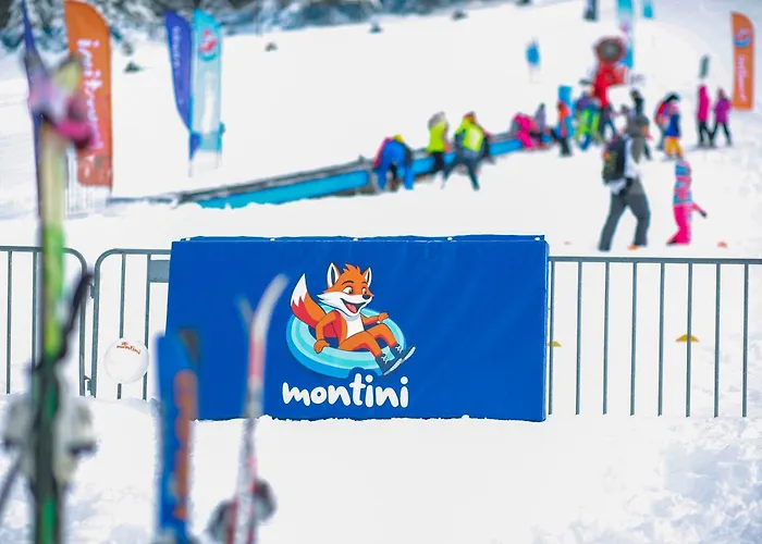 Monti & Wellness 4* Hadzici